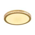 LIVARA 40/50cm LED Ceiling Light Tri-Color Dimmable Flush Mount Lamp with PMMA Shade & Iron Body for Living Room Bedroom - Gold