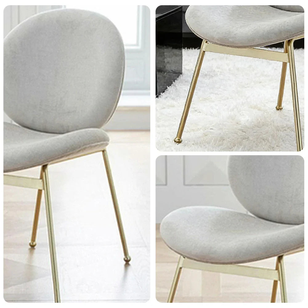 LIVARA Chair - Curved Backrest, High-Resilience Foam, Stainless Steel Frame, Durable & Stable Design - White