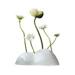 LIVARA Lotus Harmony Ceramic Vase - Sculptural Low-Profile Design Handcrafted Gloss Finish Artistic Statement Decor for Modern Interiors - White