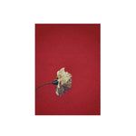 LUXORA Hand and 50/80/120cm Oil Relaxing Interior Modern Canvas for Painted Natural Art Featuring Luxury Gentle Painting Brushstrokes and Tones Elegant Atmosphere
