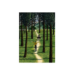 LUXORA Hand and Designed Painted Elegant to Soft Canvas 50/80/100cm Balance Painting Oil Reflect Artwork Style