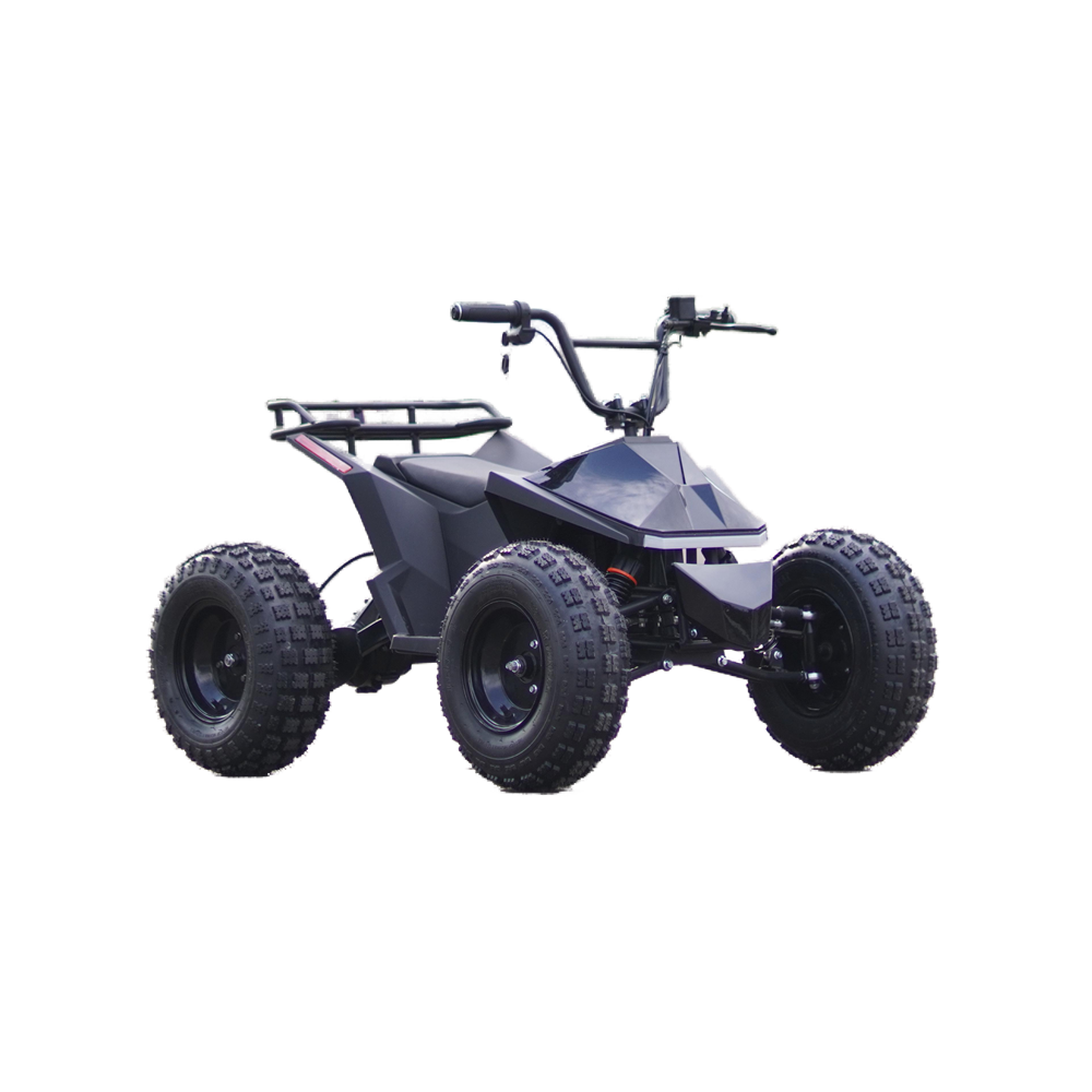 MOVO MY-T 800W Motor Quad Brushless Differential Bike-Black