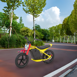 GLIDER HALLEY (Details Electric 25km/h - Cruise Motorbike/Motorcycle/Scooter Unlock Battery 5.2/6.0/7.8AH Power 350W More MY-12 at 247V Lithium Inside)*