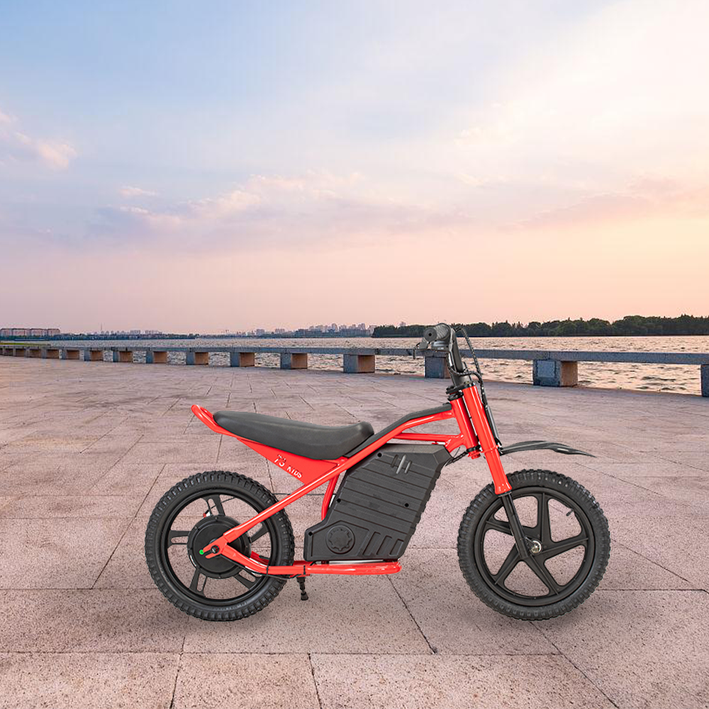 GLIDER HALLEY (Details Electric 25km/h - Cruise Motorbike/Motorcycle/Scooter Unlock Battery 5.2/6.0/7.8AH Power 350W More MY-12 at 247V Lithium Inside)*
