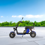 GLIDER HALLEY MY More Cruise M718 Electric 25km/h 12-20AH 48V Battery Motorbike/Motorcycle/Scooter 1000W at Power Unlock - Lithium (Details Inside)*