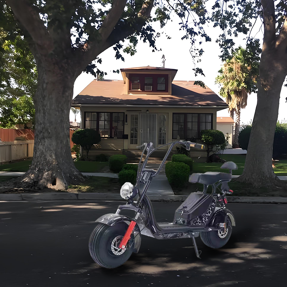 GLIDER HALLEY 12-20AH - Lithium Electric X17 Battery More 25km/h (Details Power at 1000W Cruise Unlock Motorbike/Motorcycle/Scooter MY 48V Inside)*