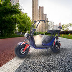 GLIDER HALLEY 12-20AH - Lithium Electric X17 Battery More 25km/h (Details Power at 1000W Cruise Unlock Motorbike/Motorcycle/Scooter MY 48V Inside)*