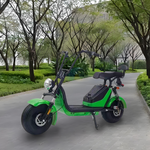 GLIDER HALLEY 12-20AH - Lithium Electric X17 Battery More 25km/h (Details Power at 1000W Cruise Unlock Motorbike/Motorcycle/Scooter MY 48V Inside)*