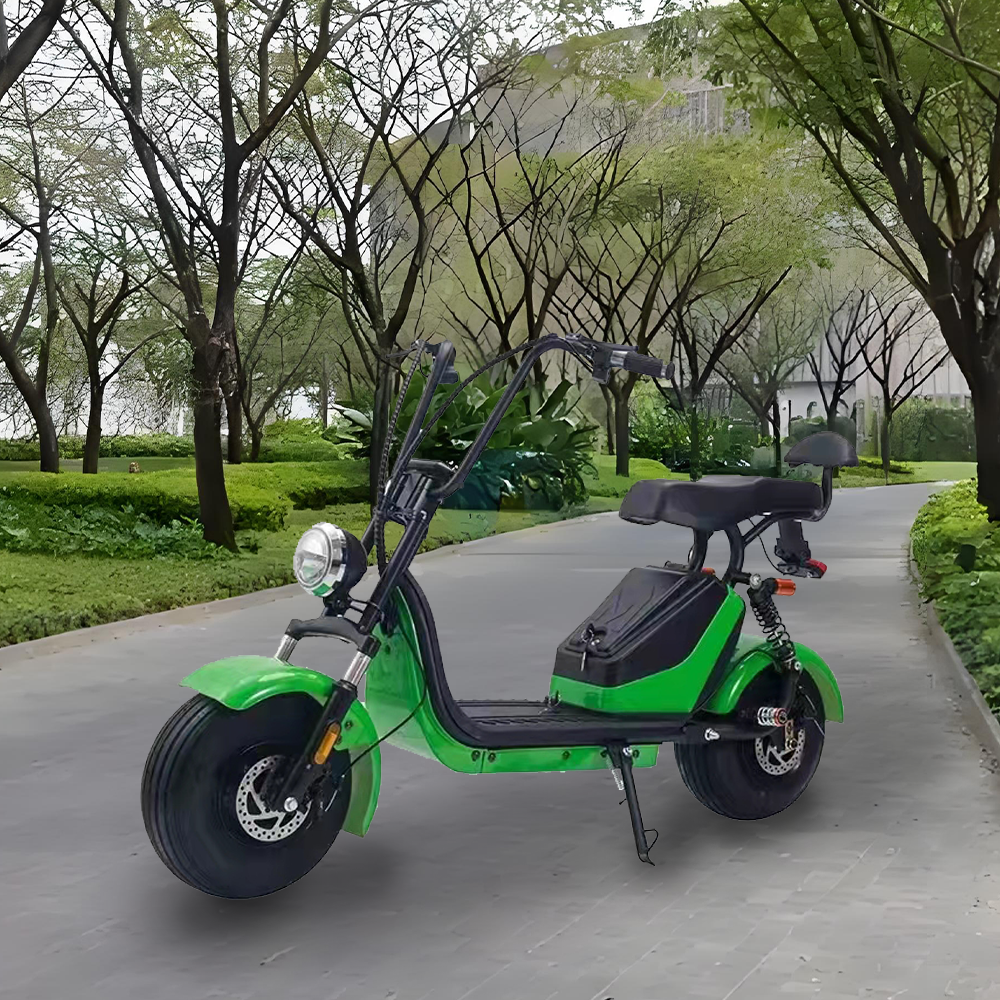 GLIDER HALLEY 12-20AH - Lithium Electric X17 Battery More 25km/h (Details Power at 1000W Cruise Unlock Motorbike/Motorcycle/Scooter MY 48V Inside)*