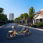 GLIDER HALLEY 12-20AH - Lithium Electric X17 Battery More 25km/h (Details Power at 1000W Cruise Unlock Motorbike/Motorcycle/Scooter MY 48V Inside)*