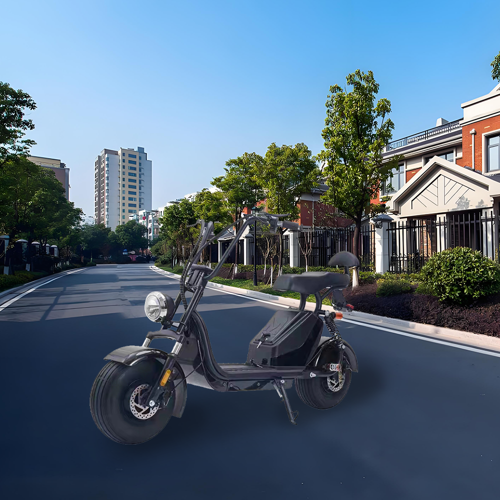 GLIDER HALLEY 12-20AH - Lithium Electric X17 Battery More 25km/h (Details Power at 1000W Cruise Unlock Motorbike/Motorcycle/Scooter MY 48V Inside)*