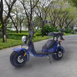 GLIDER HALLEY 12-20AH - Lithium Electric X17 Battery More 25km/h (Details Power at 1000W Cruise Unlock Motorbike/Motorcycle/Scooter MY 48V Inside)*