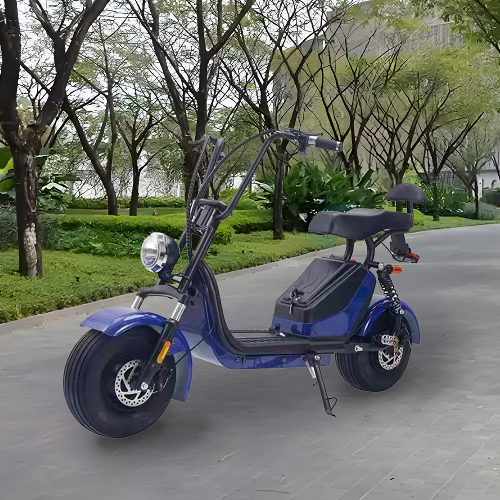 GLIDER HALLEY 12-20AH - Lithium Electric X17 Battery More 25km/h (Details Power at 1000W Cruise Unlock Motorbike/Motorcycle/Scooter MY 48V Inside)*