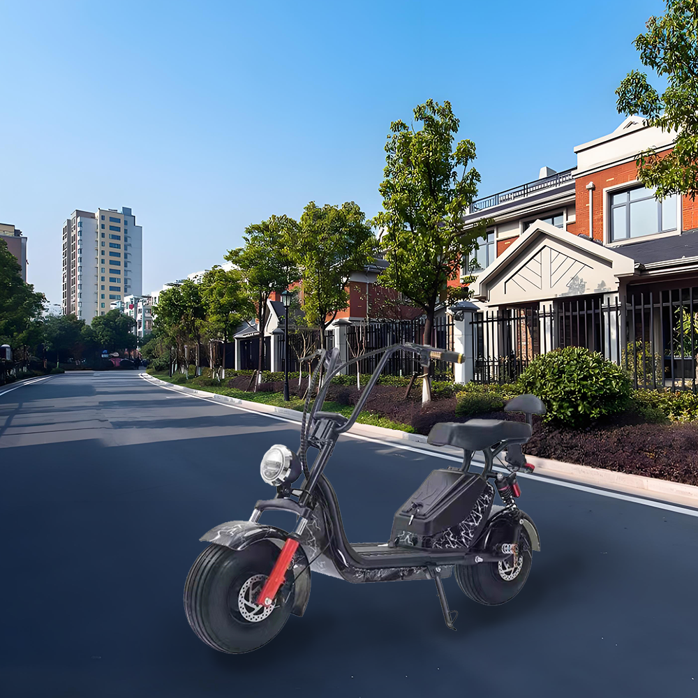 GLIDER HALLEY 12-20AH - Lithium Electric X17 Battery More 25km/h (Details Power at 1000W Cruise Unlock Motorbike/Motorcycle/Scooter MY 48V Inside)*