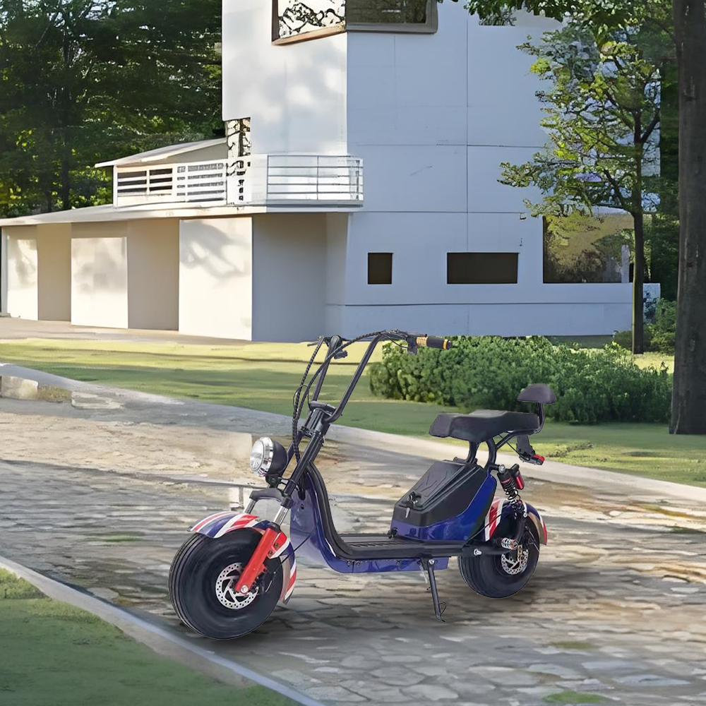GLIDER HALLEY 12-20AH - Lithium Electric X17 Battery More 25km/h (Details Power at 1000W Cruise Unlock Motorbike/Motorcycle/Scooter MY 48V Inside)*