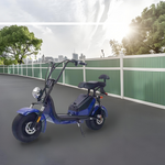GLIDER HALLEY 12-20AH - Lithium Electric X17 Battery More 25km/h (Details Power at 1000W Cruise Unlock Motorbike/Motorcycle/Scooter MY 48V Inside)*