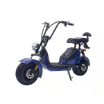 GLIDER HALLEY 12-20AH - Lithium Electric X17 Battery More 25km/h (Details Power at 1000W Cruise Unlock Motorbike/Motorcycle/Scooter MY 48V Inside)*