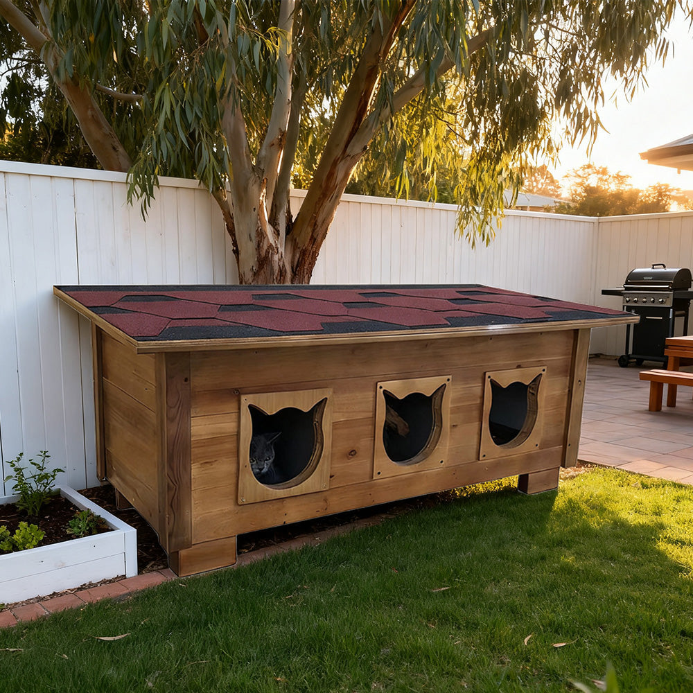PAWORA Outdoor Wood, with All-Weather Moisture-Proof, Shelter 100/134cm Scratch-Resistant, Fir Ventilated Roof, Waterproof Cat - House Wood