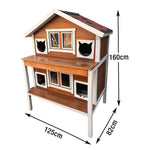 PAWORA Outdoor Resistant Roof, Waterproof Scratch Wooden - Cat Finish Weatherproof Frame, All - Fir House for Seasons, Shelter Sturdy Wood