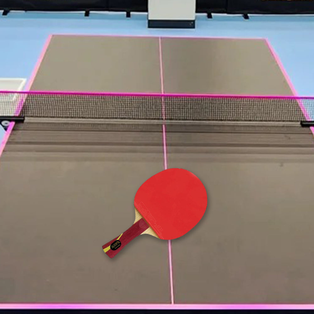 DHS Glory Pong Racket/Flared Handle/Ping Tennis Paddle