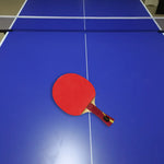 DHS Glory Pong Racket/Flared Handle/Ping Tennis Paddle