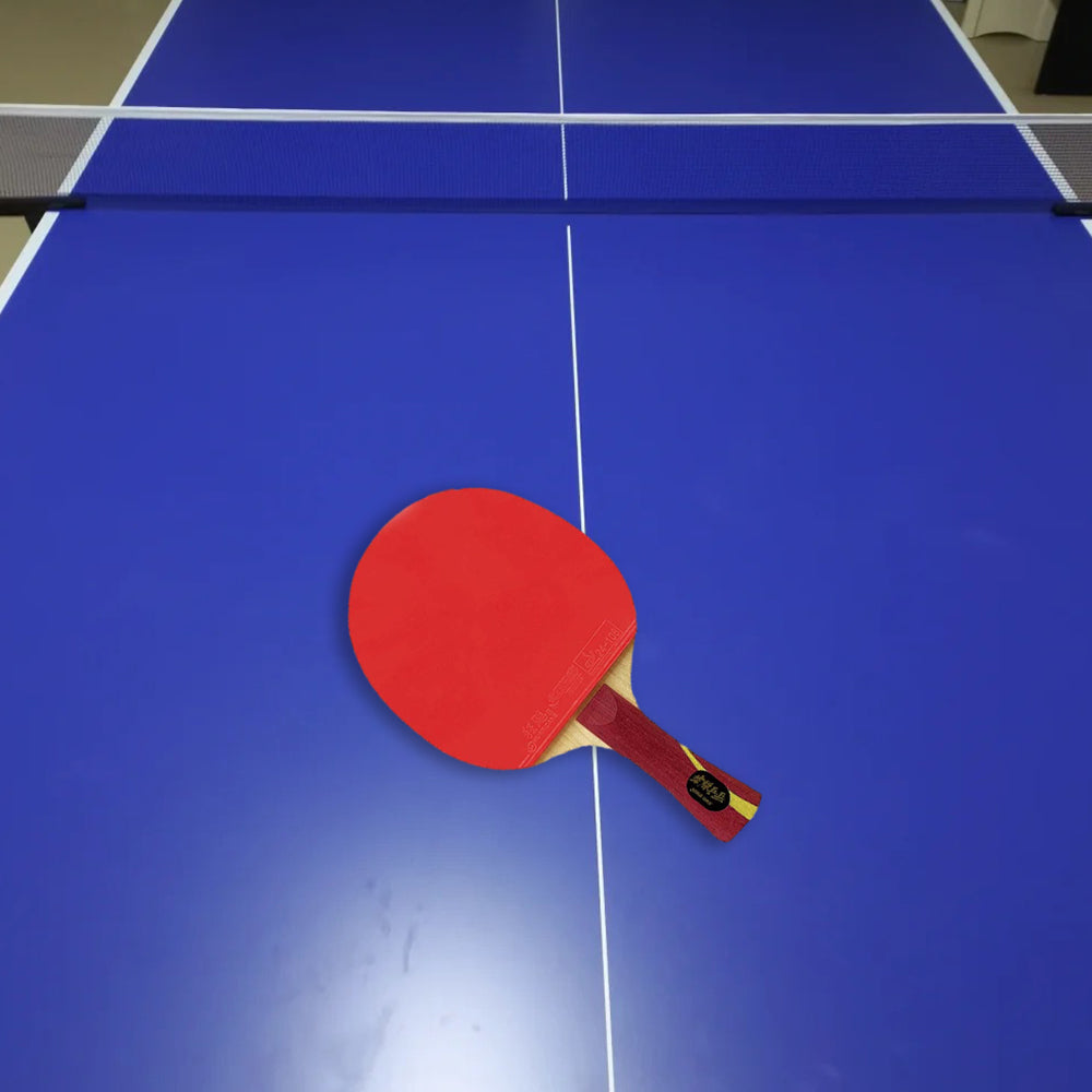DHS Glory Pong Racket/Flared Handle/Ping Tennis Paddle