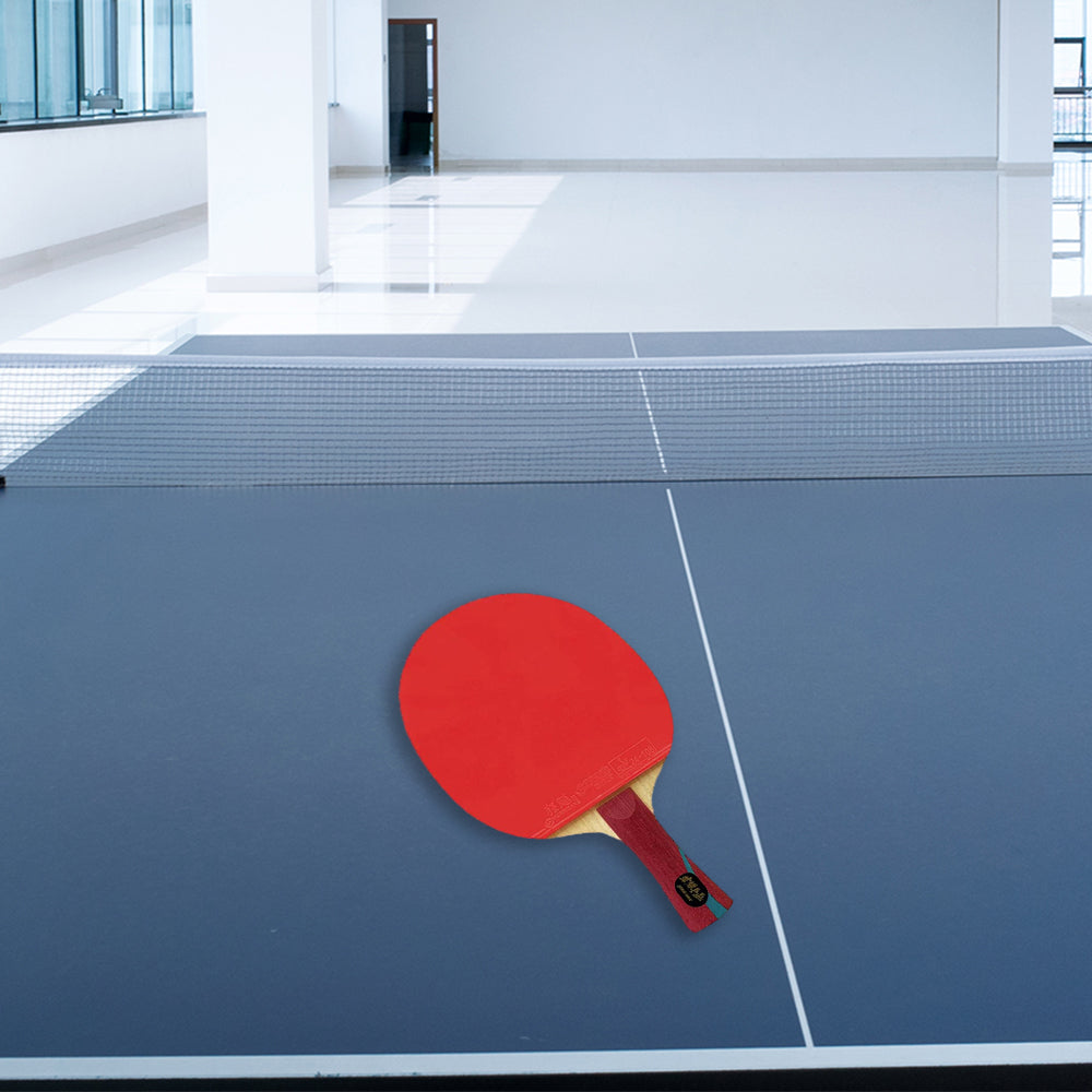 DHS Glory Pong Racket/Flared Handle/Ping Tennis Paddle