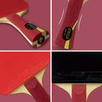 DHS Glory Pong Racket/Flared Handle/Ping Tennis Paddle