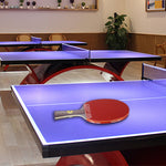 DHS Ping Gift Racket Dragon Racket Pong Paddle/ Tennis Box