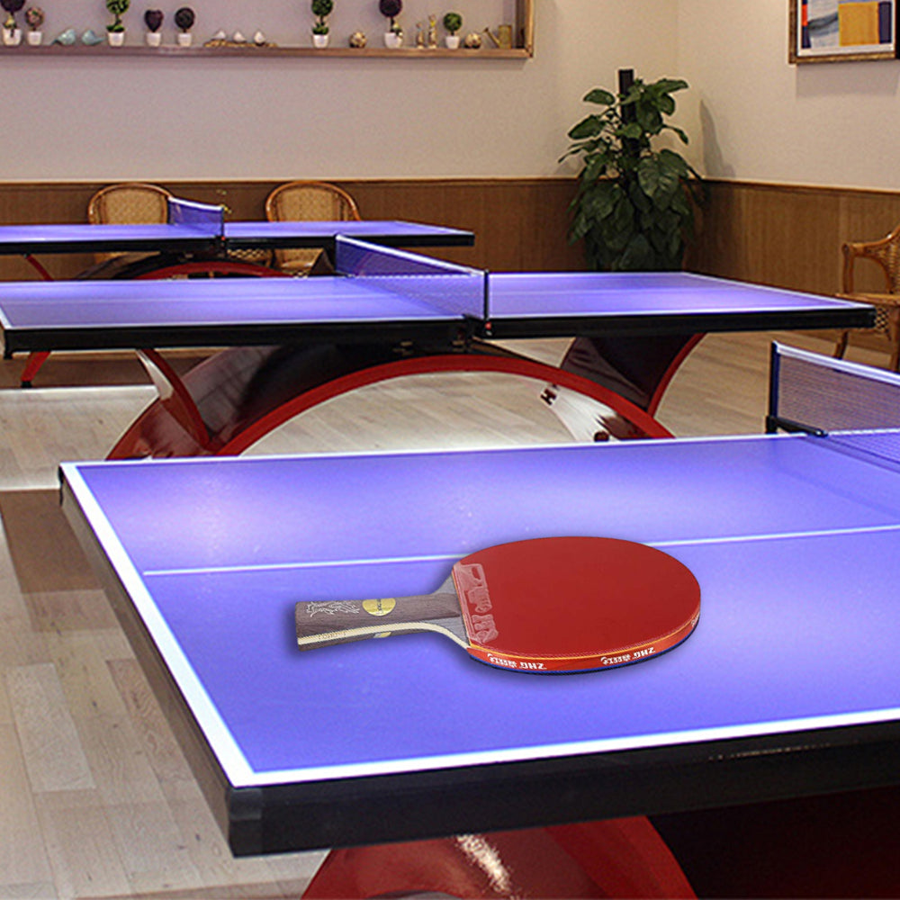 DHS Ping Gift Racket Dragon Racket Pong Paddle/ Tennis Box