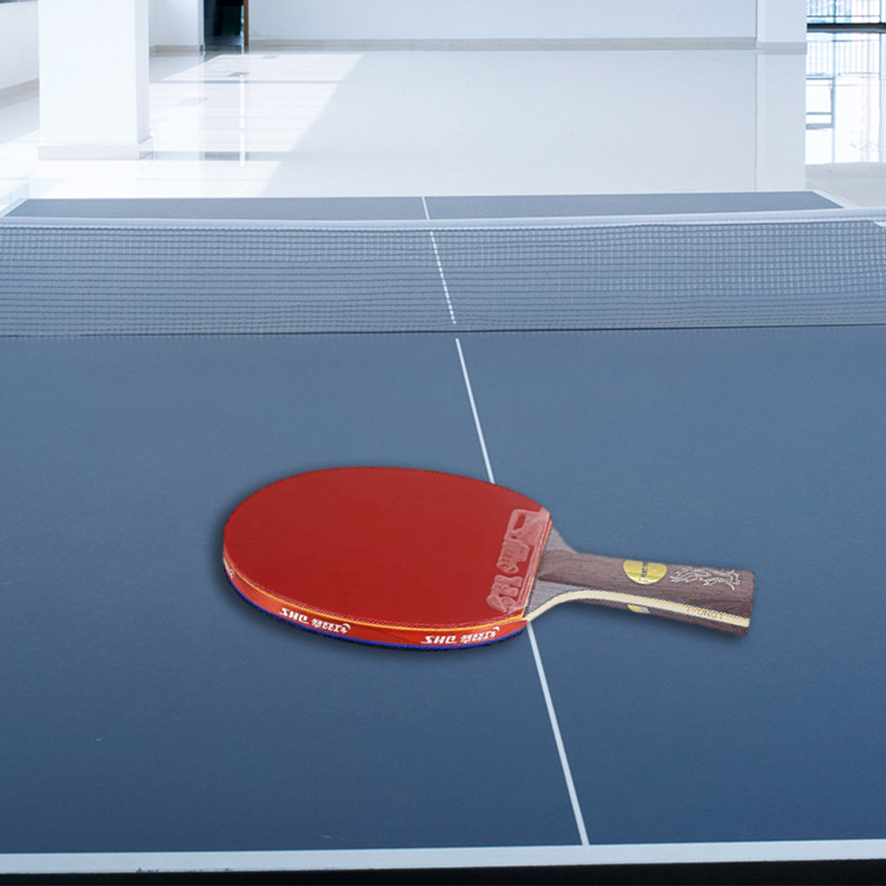 DHS Ping Gift Racket Dragon Racket Pong Paddle/ Tennis Box