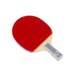 DHS TG Ping Pong Tennis Blue Table Racket Gift Gift Paddle Box/ Box