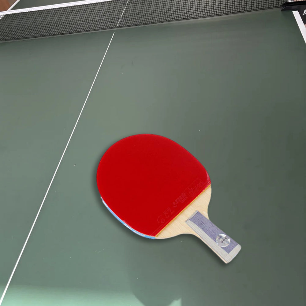 DHS TG Ping Pong Tennis Blue Table Racket Gift Gift Paddle Box/ Box