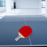DHS TG Ping Pong Tennis Blue Table Racket Gift Gift Paddle Box/ Box