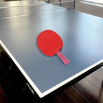 DHS Ping Tennis Gift Pong Paddle diamond Box/Star Racket