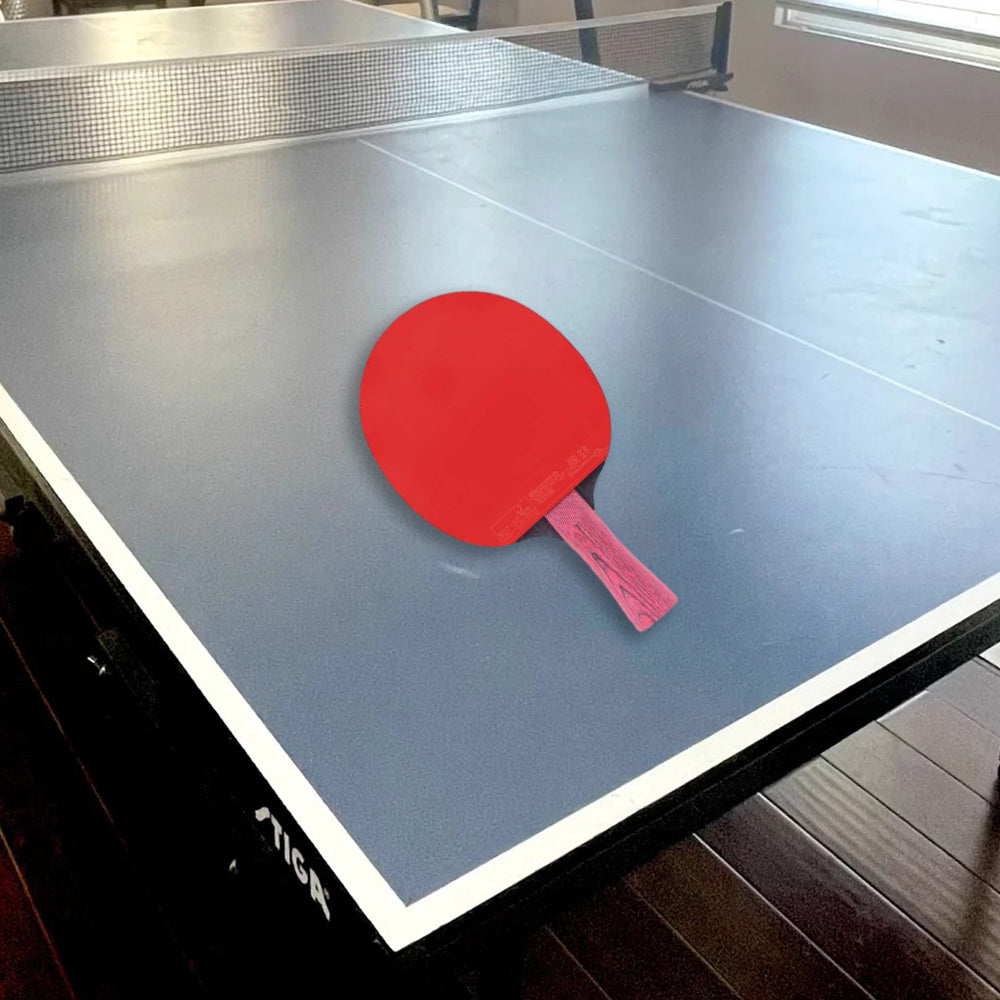 DHS Ping Tennis Gift Pong Paddle diamond Box/Star Racket