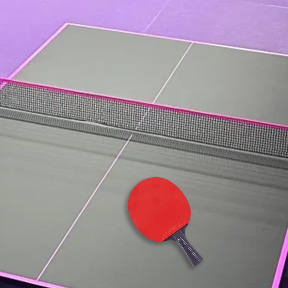 DHS Ping Tennis Gift Pong Paddle diamond Box/Star Racket