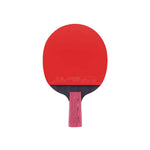 DHS Ping Tennis Gift Pong Paddle diamond Box/Star Racket