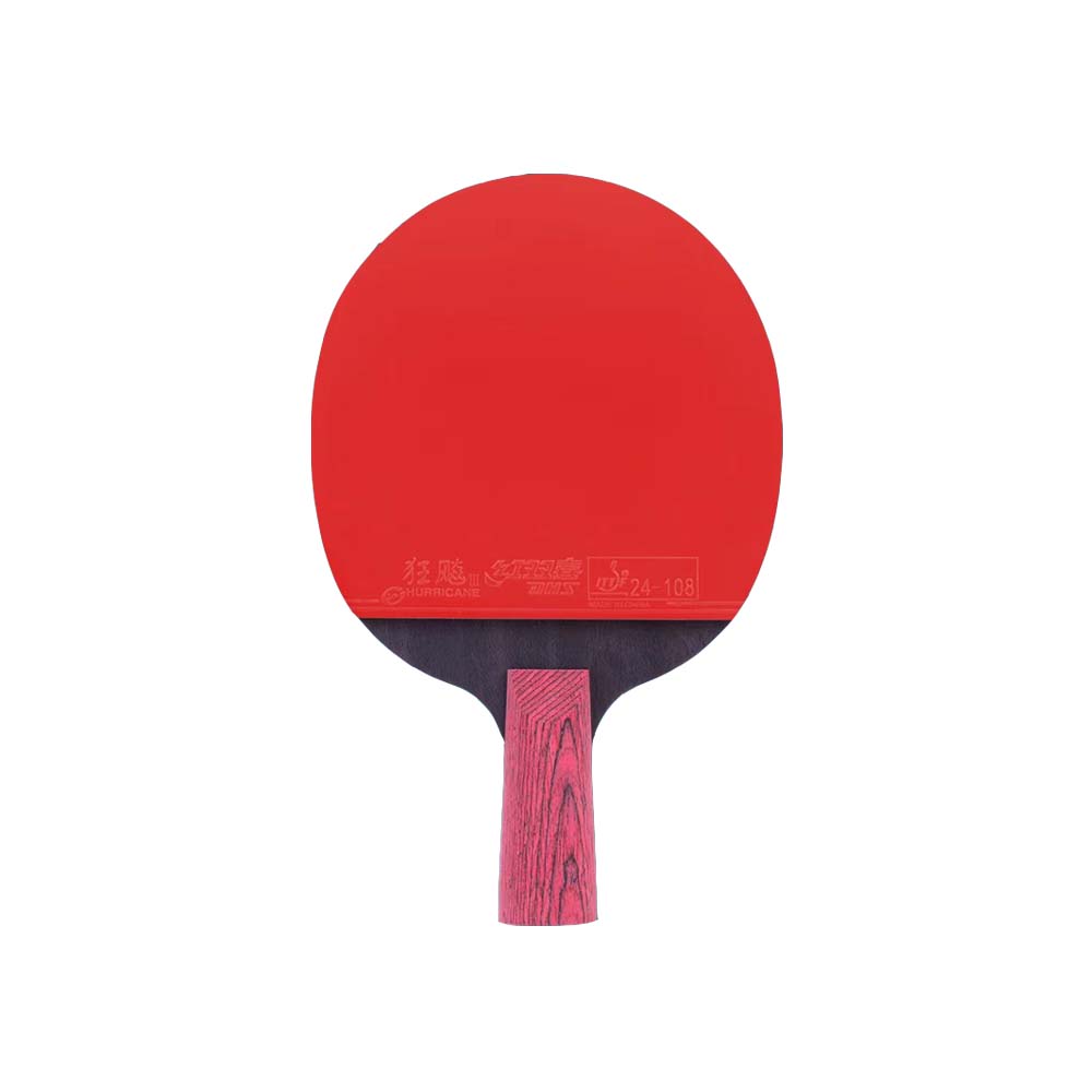 DHS Ping Tennis Gift Pong Paddle diamond Box/Star Racket