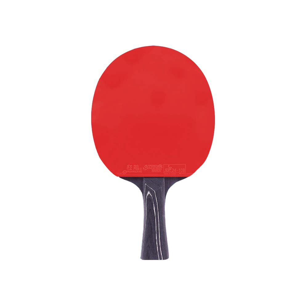 DHS Ping Tennis Gift Pong Paddle diamond Box/Star Racket