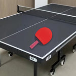 DHS Ping Tennis Gift Pong Paddle diamond Box/Star Racket