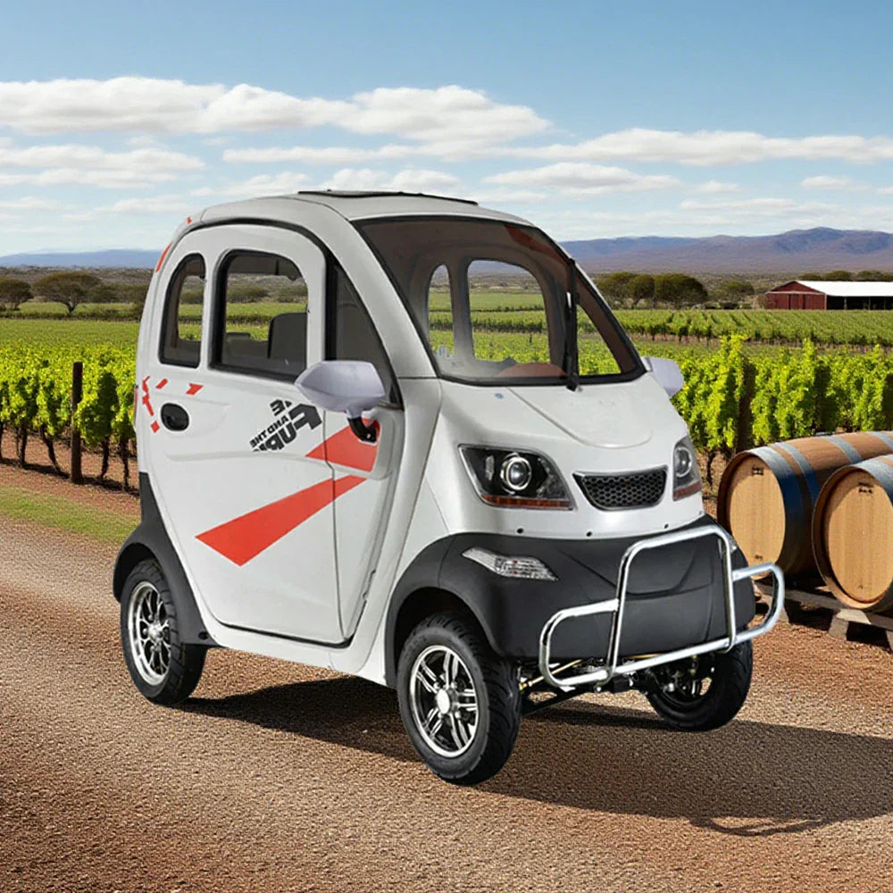 ROLLUX All Mobility - Electric Design, Brushless Motor, Control, Scooter 70 Enclosed 60V1200W Wheel Steering Terrain 80km - Range