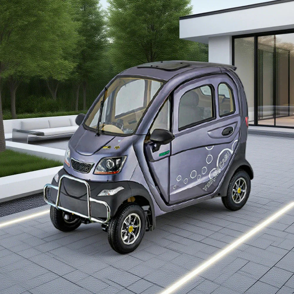 ROLLUX Enclosed All-Weather Scooter - with Urban Wheel Control Mobility Motor, 70-80km Range, 60V1200W Safe Comfort, Steering Travel