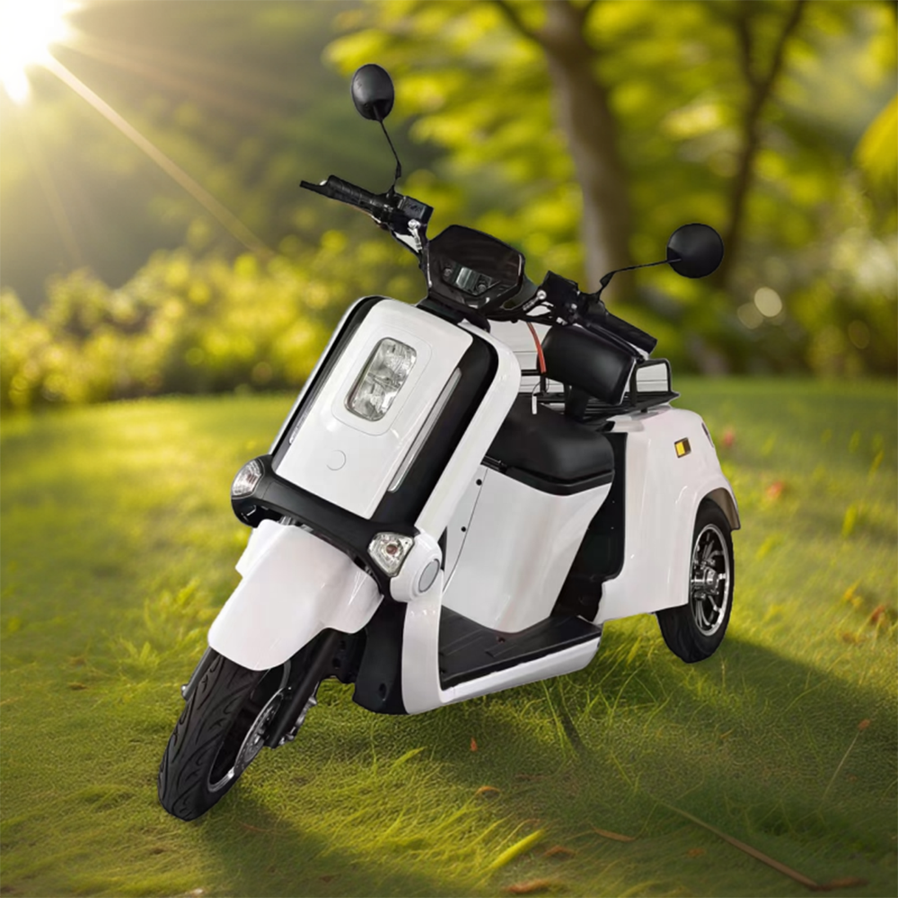 ROLLUX E2A 1000W Wheels 3 120KG 32AH Weight Scooter Mobility 72V Capacity