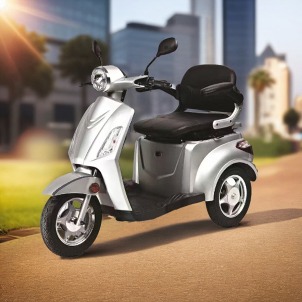 ROLLUX F3 300KG Mobility 800W Wheels Scooter 3 Weight Capacity