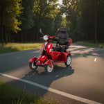 ROLLUX AFA2D4D Lead-Acid/Lithium Battery Electric Drum 500W Scooter 60V20Ah Mobility Brake