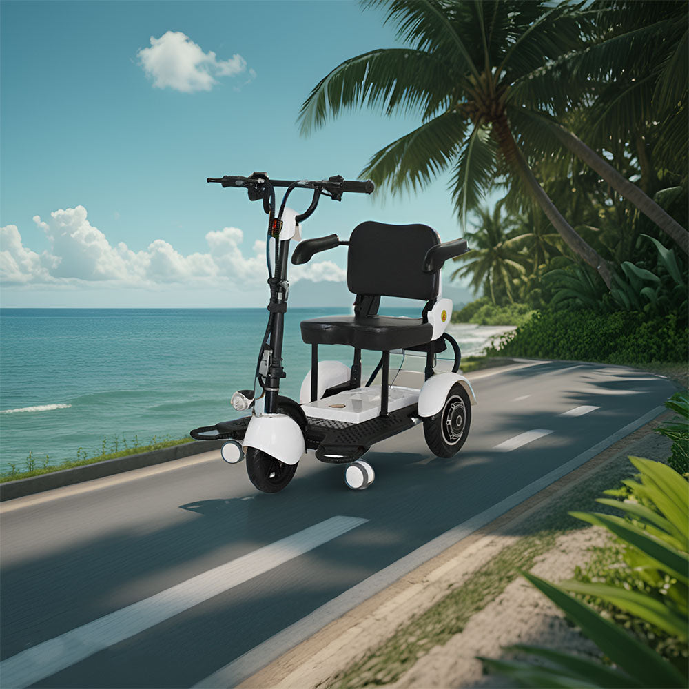 ROLLUX FY-VRLA Lead-Acid/Lithium Electric Battery Mobility 48V12Ah Drum Scooter 350W Brake