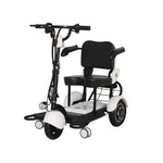 ROLLUX FY-VRLA Lead-Acid/Lithium Electric Battery Mobility 48V12Ah Drum Scooter 350W Brake
