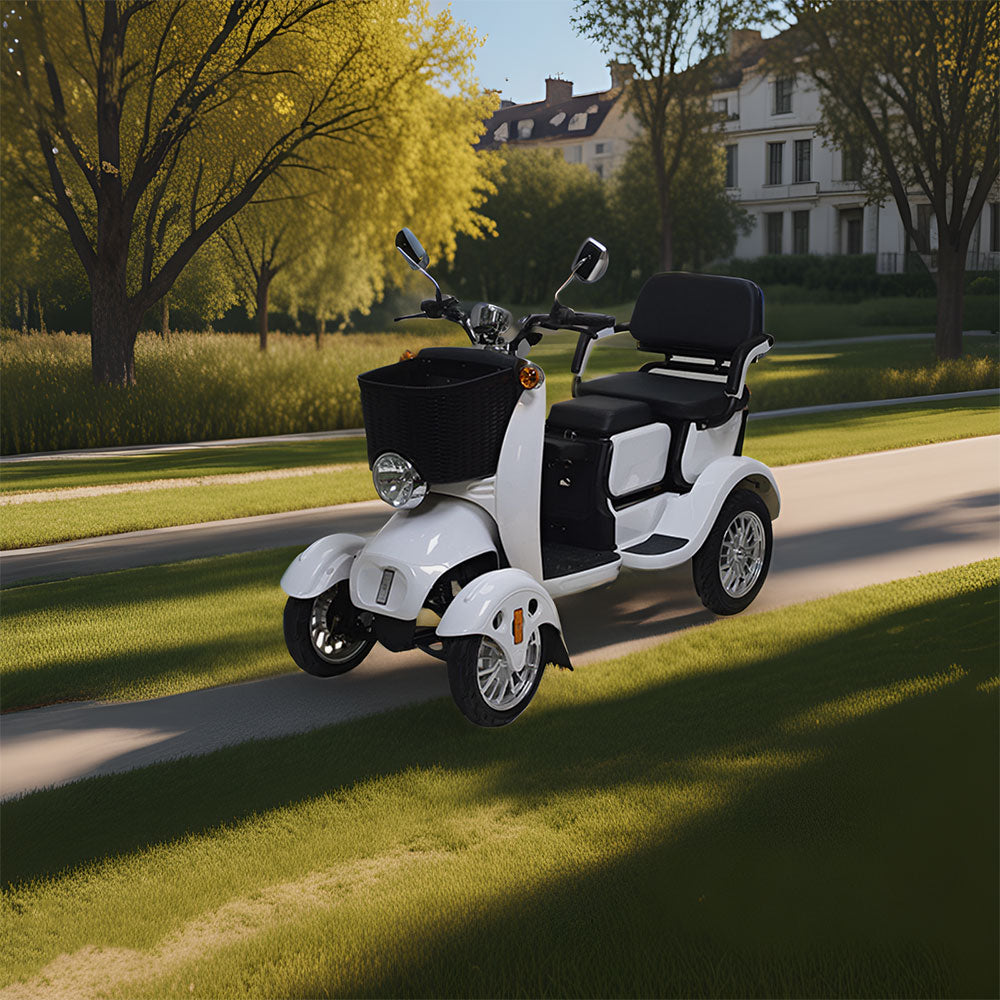 ROLLUX XG4W Mobility Battery Electric Lead-Acid/Lithium 60V20Ah Scooter 500W Drum Brake