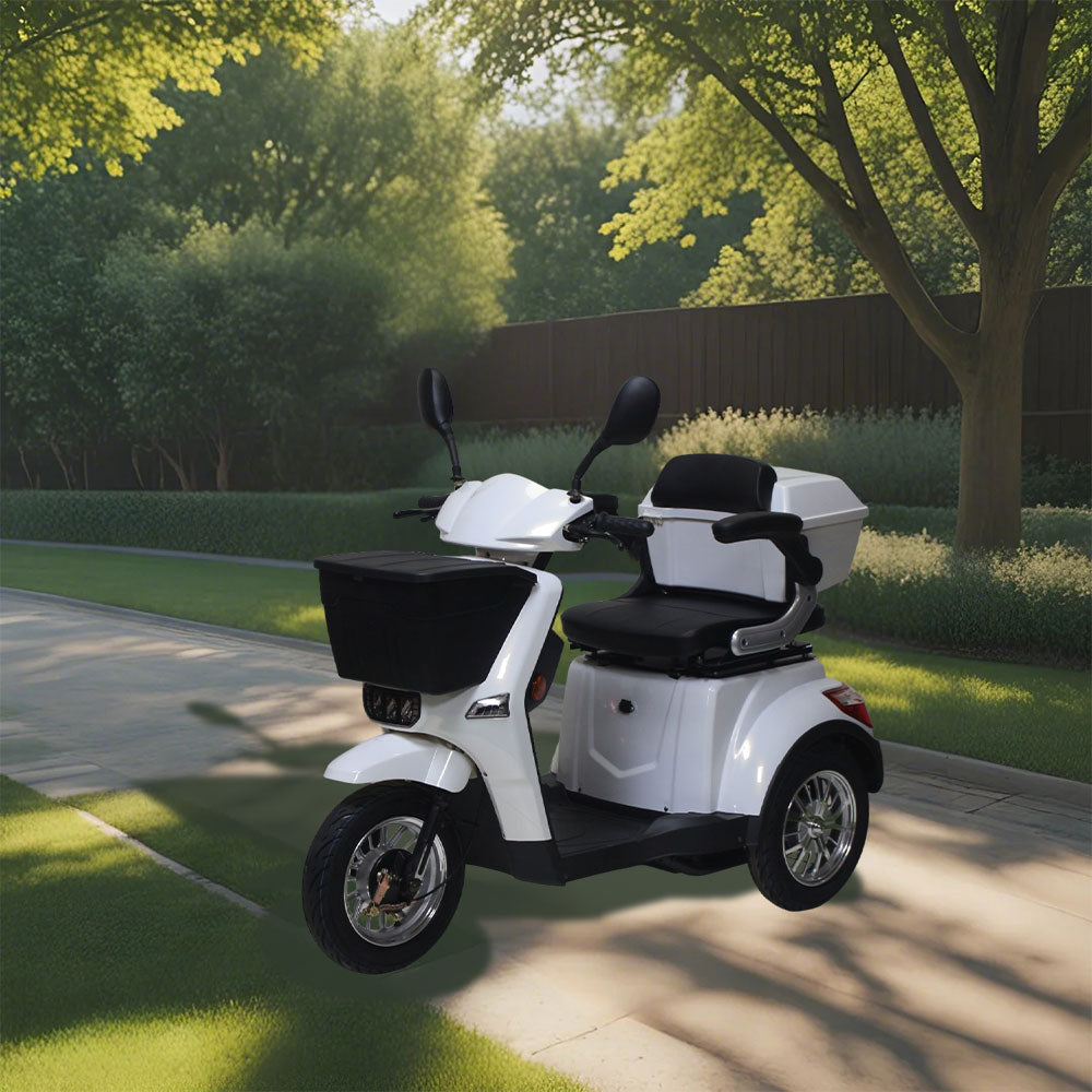 ROLLUX XL3D Lead-Acid/Lithium 60V20Ah Battery Electric Mobility Scooter 500W Drum Brake